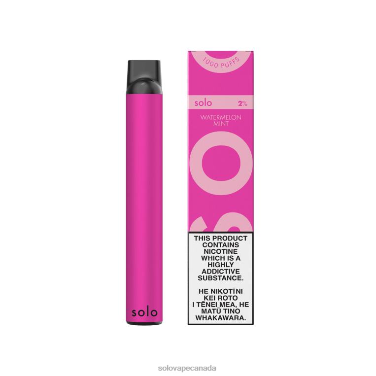 Solo Disposable Vape Watermelon Mint - Solo Vape Toronto R0HJ42